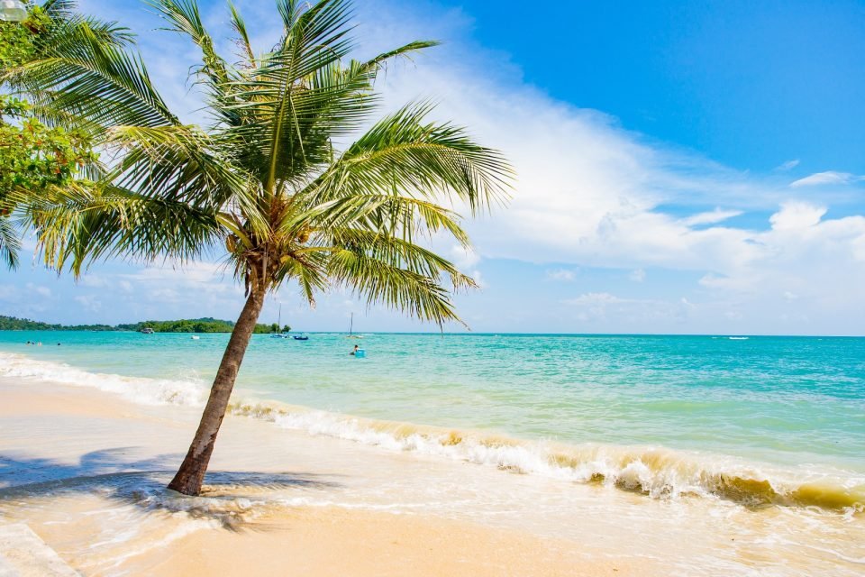 KohSamui-Thaialnd (8)